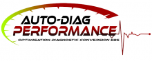 Auto diag performance reprogrammation de véhicule 